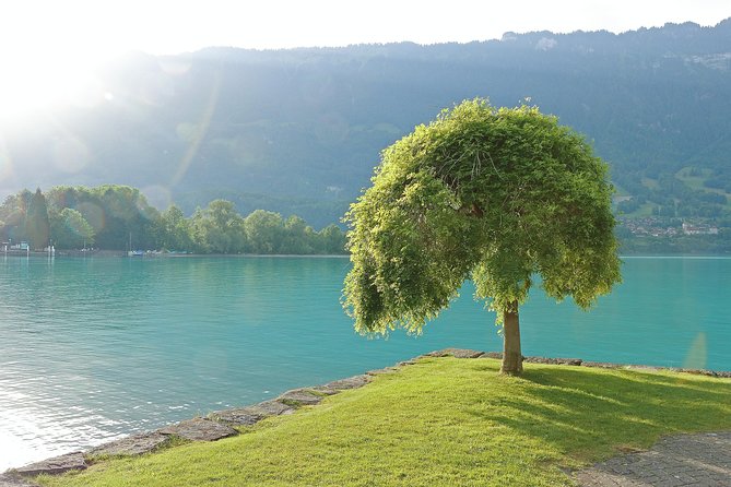 (Ktl361) - Interlaken Day Trip by Bus From Lausanne - Scenic Views of the Swiss Alps