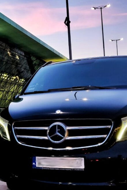 Ktw-Katowice Pyrzowice Air.: Private Transfer To/From Krakow - Accessibility and Assistance