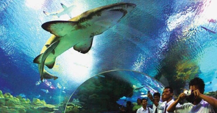 Kuala Lumpur: Aquaria KLCC Entrance Ticket - Ticket Information