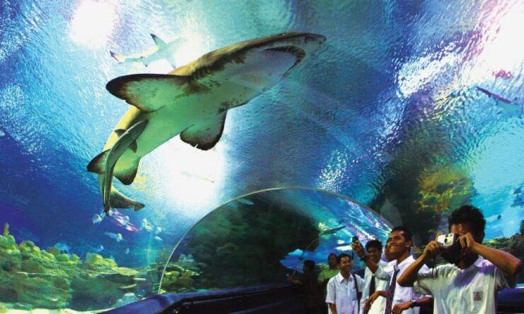 Kuala Lumpur: Aquaria KLCC Entrance Ticket - Experience at Aquaria KLCC