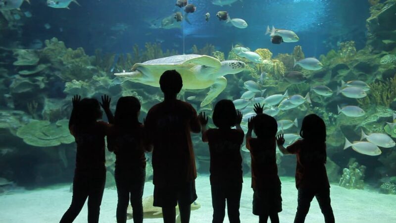 Kuala Lumpur: Aquaria KLCC Entry Ticket - FAQ About Aquaria KLCC