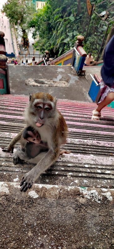 Kuala Lumpur Batu Caves & Genting Highlands Full-Day Tour with Transfers - Genting Highlands as the second stop
