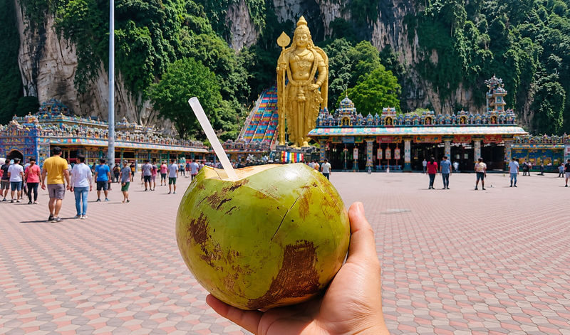 Kuala Lumpur Batu Caves Half-Day Tour with Coconut Water - Key points to know