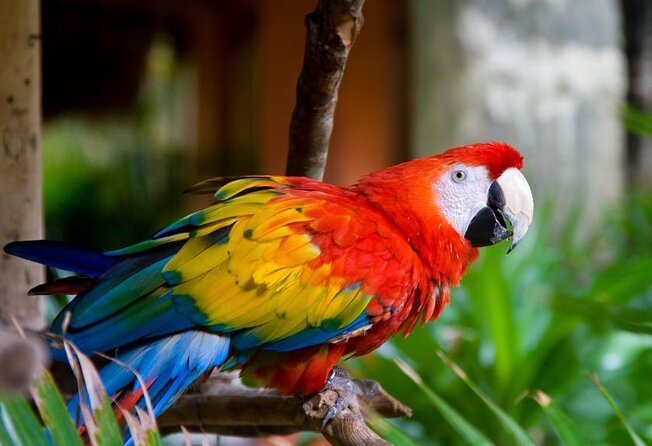 Kuala Lumpur Bird Park & Butterfly Farm Include Entrance - Good To Know