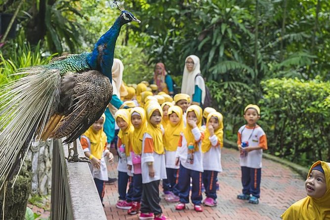 Kuala Lumpur Bird Park & Butterfly Farm Include Entrance - What To Expect