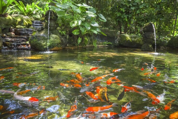 Kuala Lumpur: Bird Park Day Ticket & 1-Way Transfer - Ticket Details and Booking Information