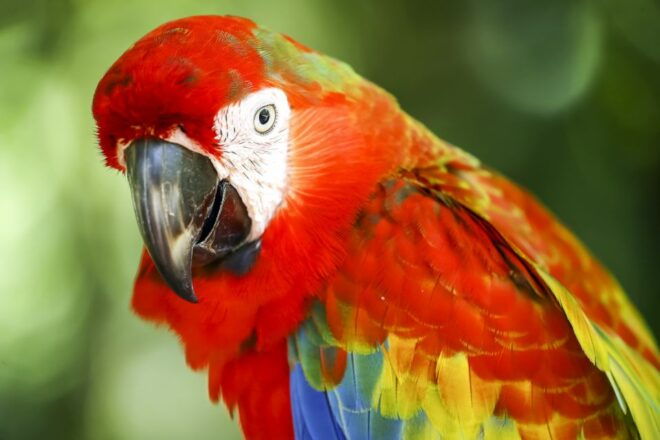 Kuala Lumpur: Bird Park Day Ticket & 1-Way Transfer - Review Summary