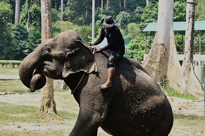 Kuala Lumpur Bus Tour Experience 3 Days - Good To Know