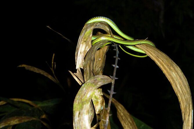 Kuala Lumpur Bus Tour Experience 3 Days - Day 3: Return and Reflection