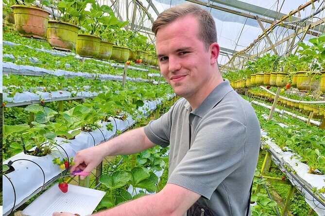 Kuala Lumpur: Cameron Highlands & Batu Caves Private Day Tour - A Deep Dive into the Tour Experience