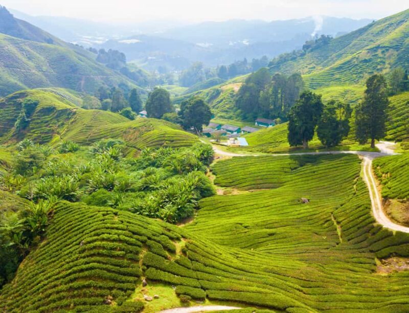 Kuala Lumpur: Cameron Highlands Private Day Tour - Final Thoughts
