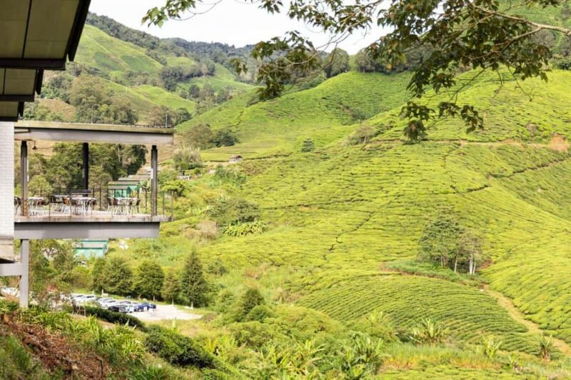 Kuala Lumpur Cameron Highlands & Tea Plantations Scenic Tour - Who Should Consider This Tour?  