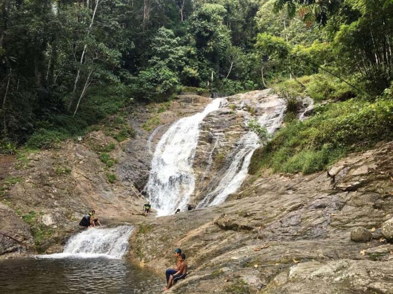 Kuala Lumpur Cameron Highlands & Tea Plantations Scenic Tour - Final Thoughts  