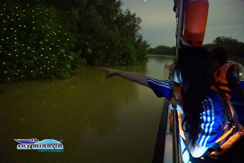 Kuala Lumpur Firefly & Eagle Feeding Night Tour - Kuala Selangor after dark