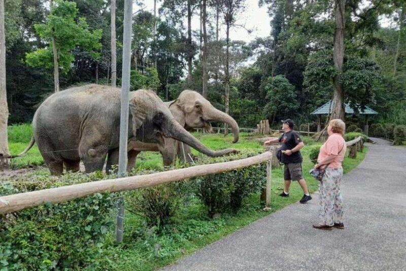 Kuala Lumpur: Kuala Gandah and Batu Caves Private Trip - Authentic Experiences and Insights from Reviews