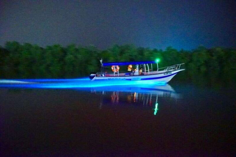 Kuala Lumpur: Kuala Selangor Fireflies and Blue Tears Tour - Final Thoughts on the Kuala Selangor Fireflies & Blue Tears Tour