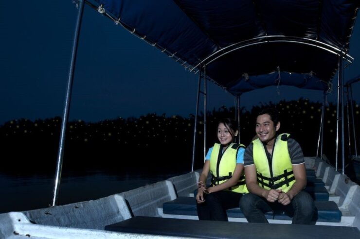 Kuala Lumpur: Kuala Selangor Firefly Tour and Dinner - Activity Details