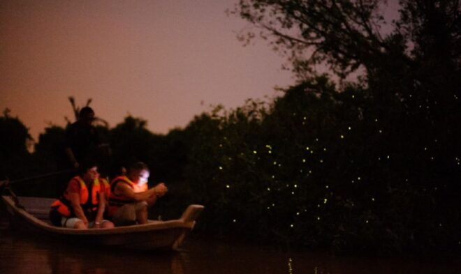 Kuala Lumpur: Kuala Selangor Firefly Tour and Dinner - Reviews