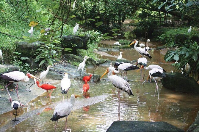 Kuala Lumpur Park Tour: Orchid Garden, Butterfly Park & Bird Park - FAQ