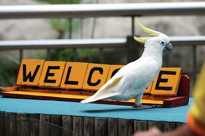 Kuala Lumpur Park Tour: Orchid Garden, Butterfly Park & Bird Park - Final Thoughts