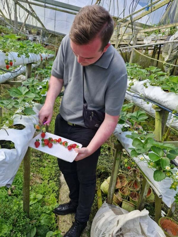 Kuala Lumpur: Private Cameron Highlands & Batu Caves Tour - Who Should Consider This Tour?