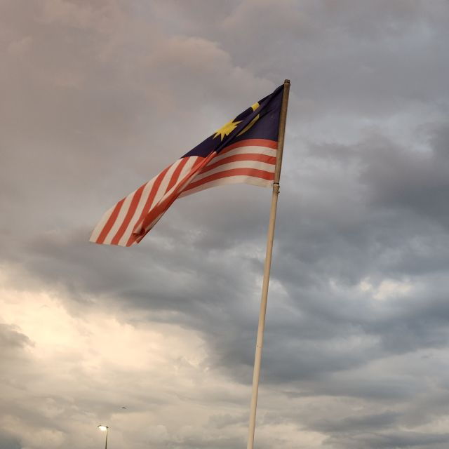 Kuala Lumpur: Private Sightseeing Tour With Pickup - Pickup Service and Location