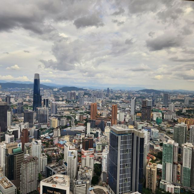 Kuala Lumpur: Private Sightseeing Tour With Pickup - Customer Reviews Overview