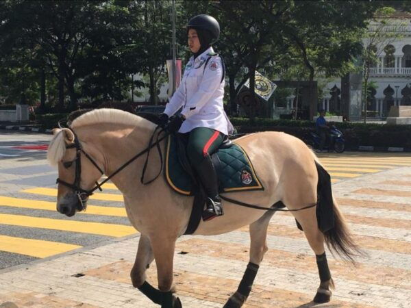 Kuala Lumpur: Private Sightseeing Tour With Pickup - Positive Customer Feedback