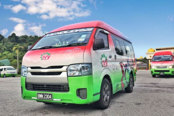 Kuala Lumpur: Sightseeing by Private Vehicle With Driver - The Sum Up