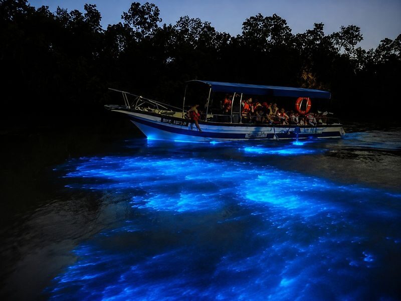 Kuala Lumpur Skyline Luge & Kuala Selangor Fireflies Experience - Questions to settle before you go