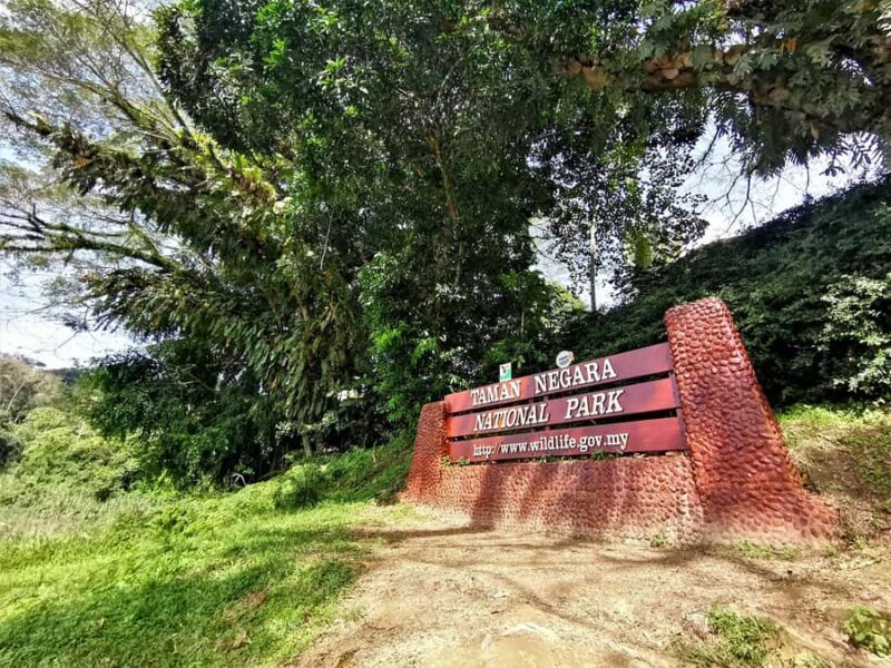 Kuala Lumpur: Taman Negara Tour w/Lata Berkoh Falls & Lunch - The Itinerary Breakdown
