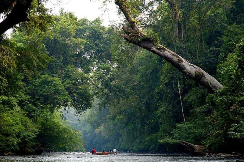 Kuala Lumpur: Taman Negara Tour w/Lata Berkoh Falls & Lunch - Frequently Asked Questions