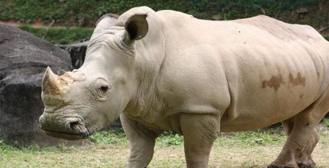 Kuala Lumpur: Zoo Negara Admission Ticket - Inclusions and Additional Information
