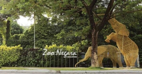Kuala Lumpur: Zoo Negara Admission Ticket - Tips and Recommendations