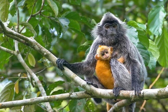 Kuala Lumpur's Famous Spots: Private Day Tour - Why This Tour Offers Great Value