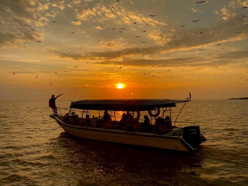 Kuala Selangor: Eagles, Fireflies & Blue Tears Boat Tour - Exploring Kuala Selangor: Eagles, Fireflies & Blue Tears Boat Tour