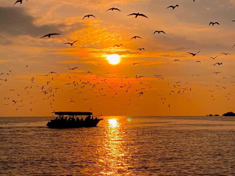 Kuala Selangor: Eagles, Fireflies & Blue Tears Boat Tour - Good To Know