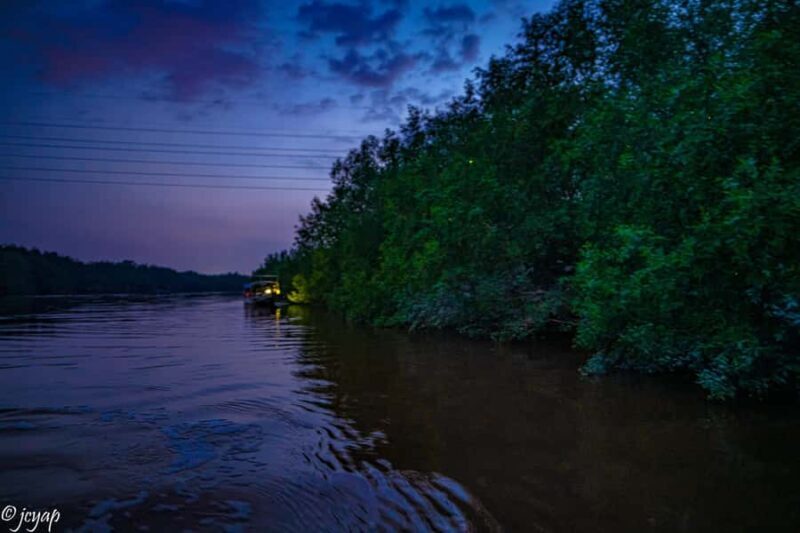 Kuala Selangor: Eagles, Fireflies & Blue Tears Boat Tour - Who should consider this tour?