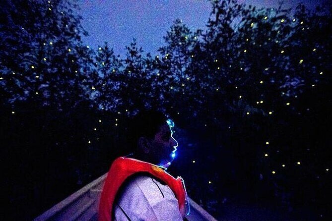 Kuala Selangor Fireflies Experience  Day Trip from Kuala Lumpur - Frequently Asked Questions