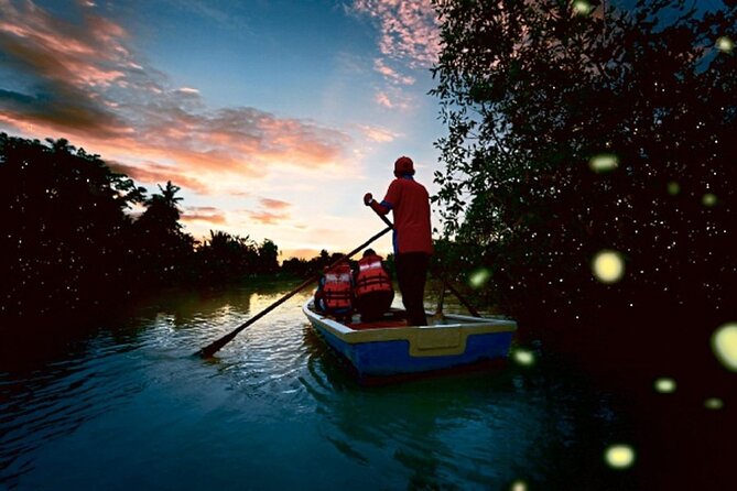 Kuala Selangor Fireflies Tour - Accessibility and Restrictions