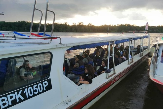 Kuala Selangor Fireflies Tour (Special Deal) - Customer Reviews