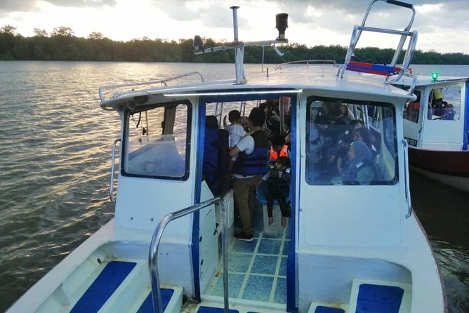 Kuala Selangor Fireflies Tour (Special Deal) - Pricing Details