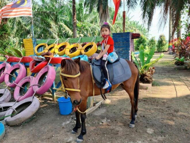 Kuala Selangor Rainbow Village Entrance Tickets(KSRV) - How to Get There