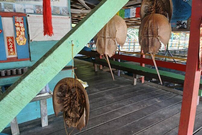 Kuala Sepetang Private Day Tour From Ipoh - Who Is This Tour Best For?