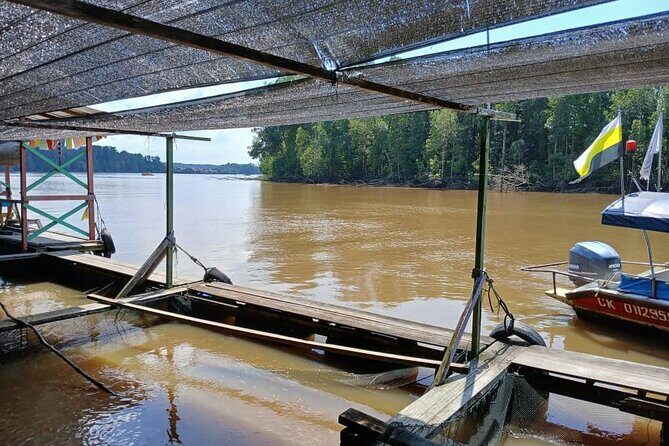 Kuala Sepetang Private Day Tour From Ipoh - A Detailed Look at the Kuala Sepetang Private Day Tour