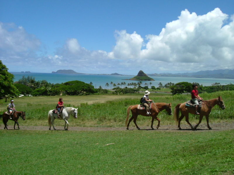 Kualoa Jurassic Valley Horseback Guided Tour - Movie connections, without movie-set promises