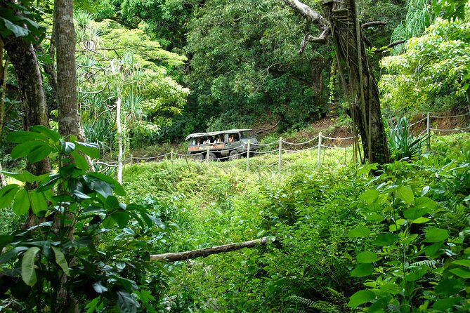 Kualoa Ranch - Jungle Expedition Tour - Pricing and Booking
