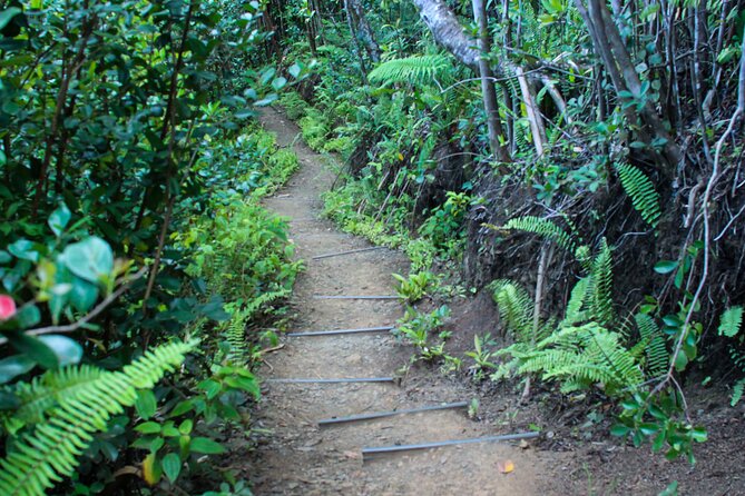 Kualoa Ranch - Jungle Expedition Tour - Common Questions
