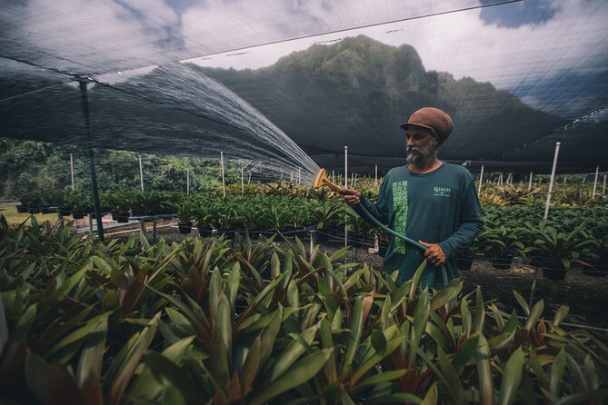 Kualoa Ranch - Kualoa Grown Tour - Common Questions