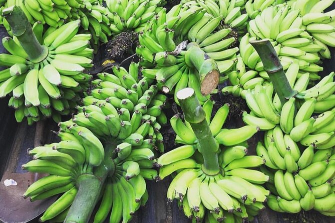 Kualoa Ranch Off-Road Jungle, Garden, Film Location Tour - Oahu - Additional Information